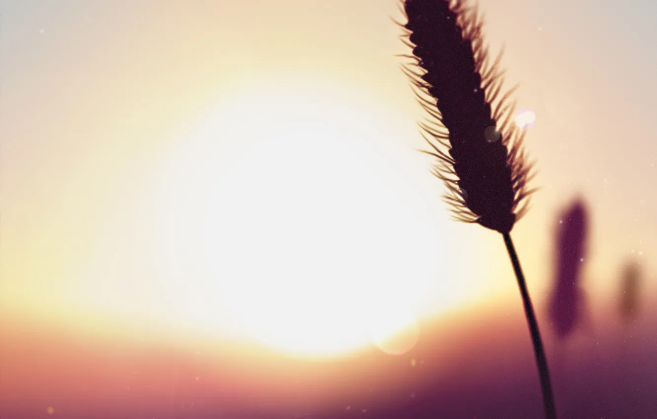 Photo wallpaper landscape, sunset, nature