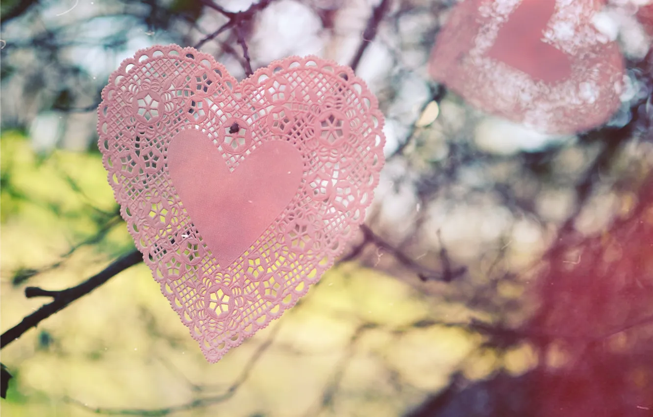 Photo wallpaper branches, heart, napkin