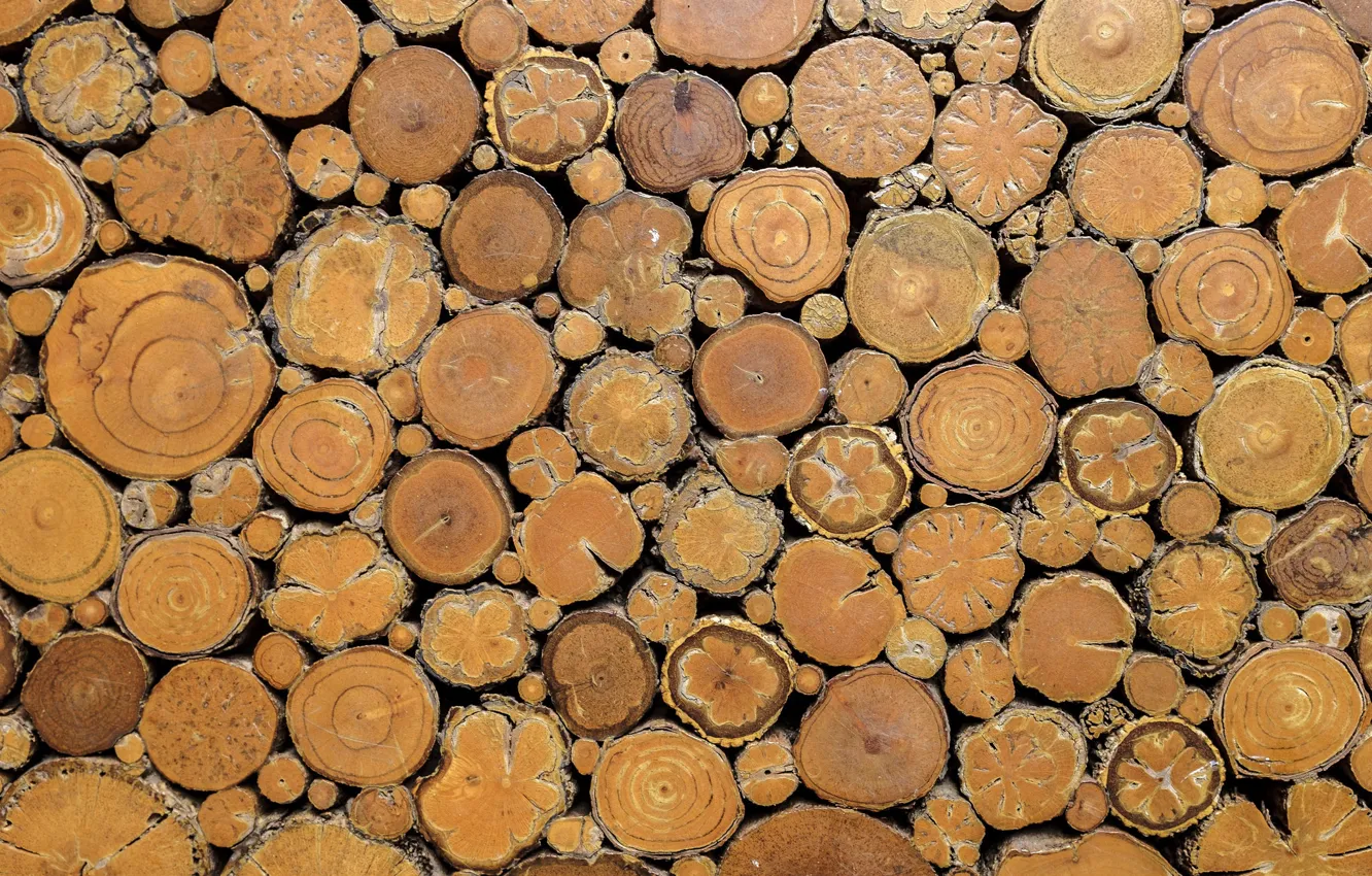 Photo wallpaper background, color, log