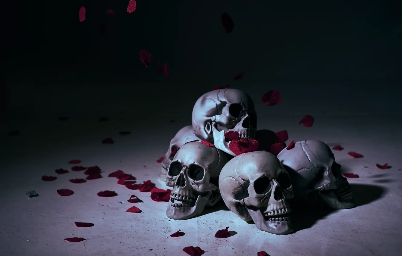 Photo wallpaper background, petals, skull, sake