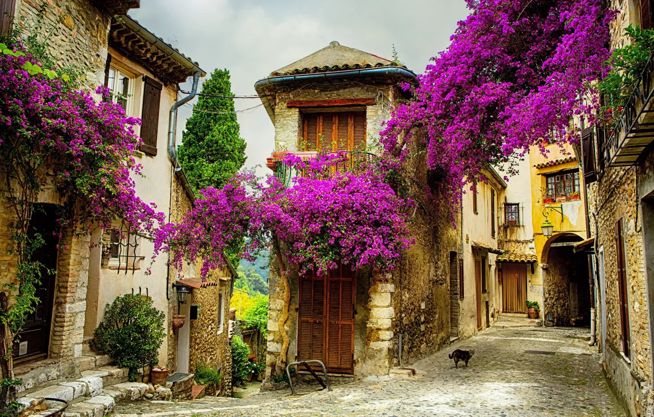 Photo wallpaper summer, flowers, the city, street, France, .Provence