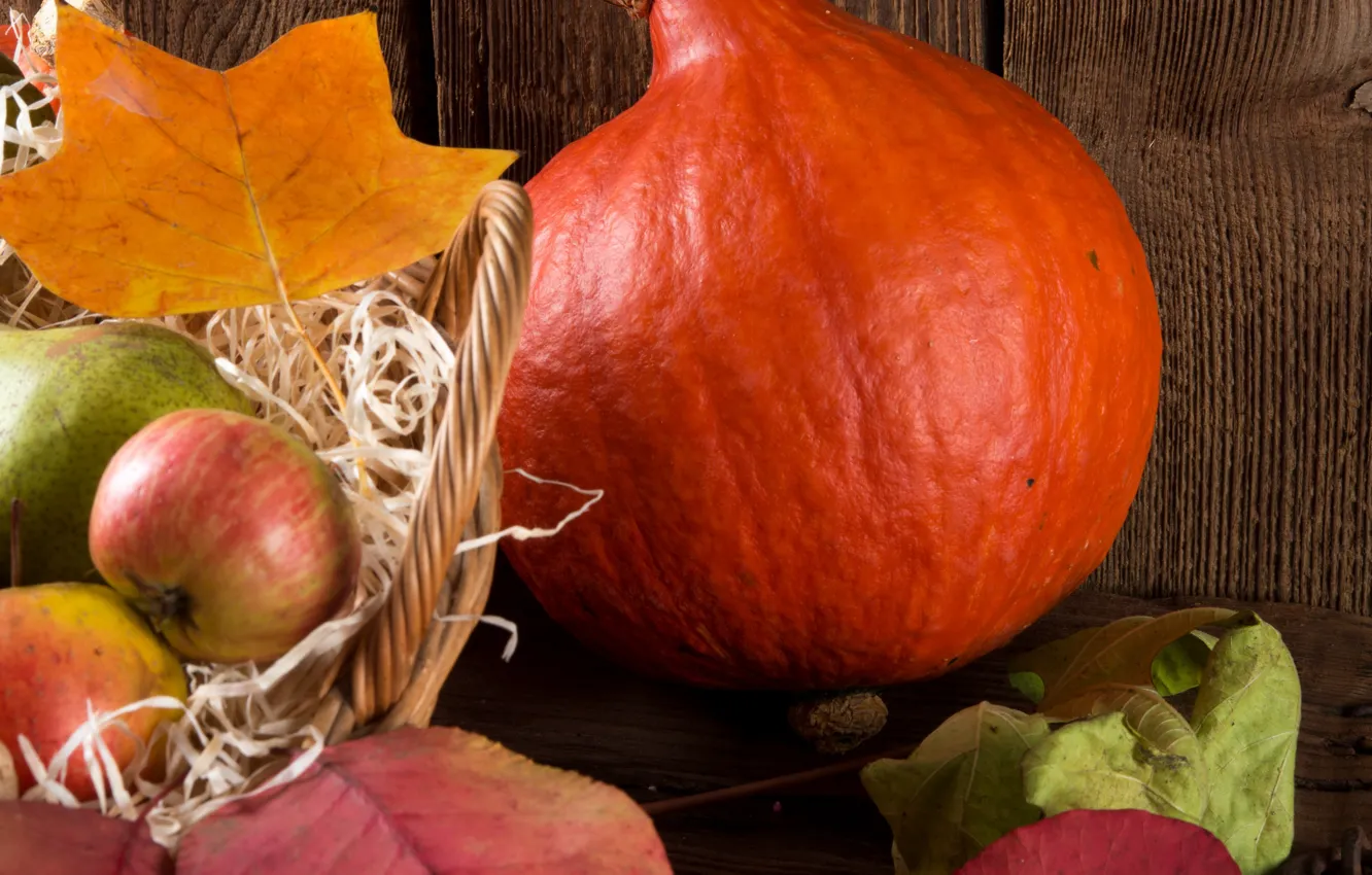 Photo wallpaper apples, pumpkin, basket, pear, the gifts of autumn