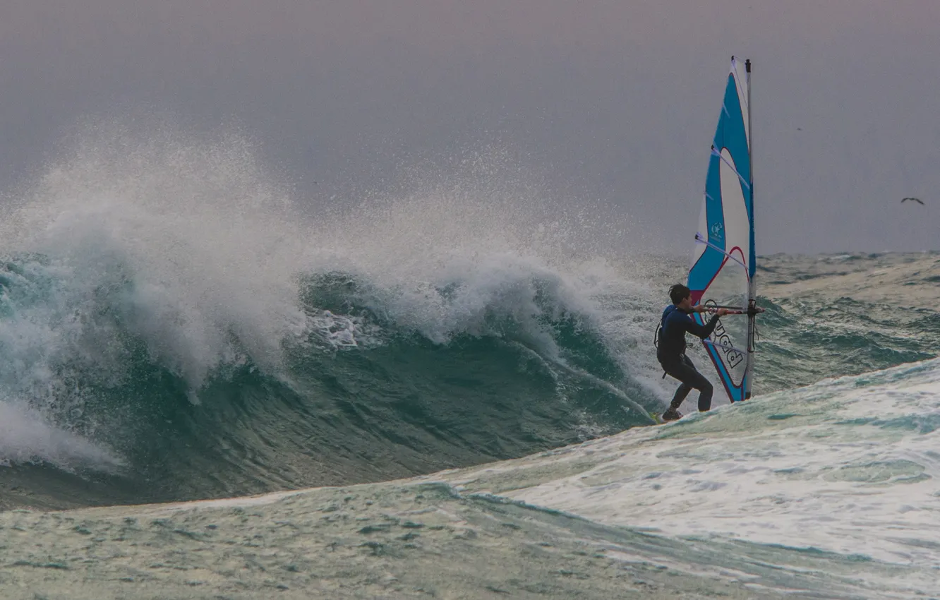 Photo wallpaper sea, wave, the wind, sail, Board, Windsurfing