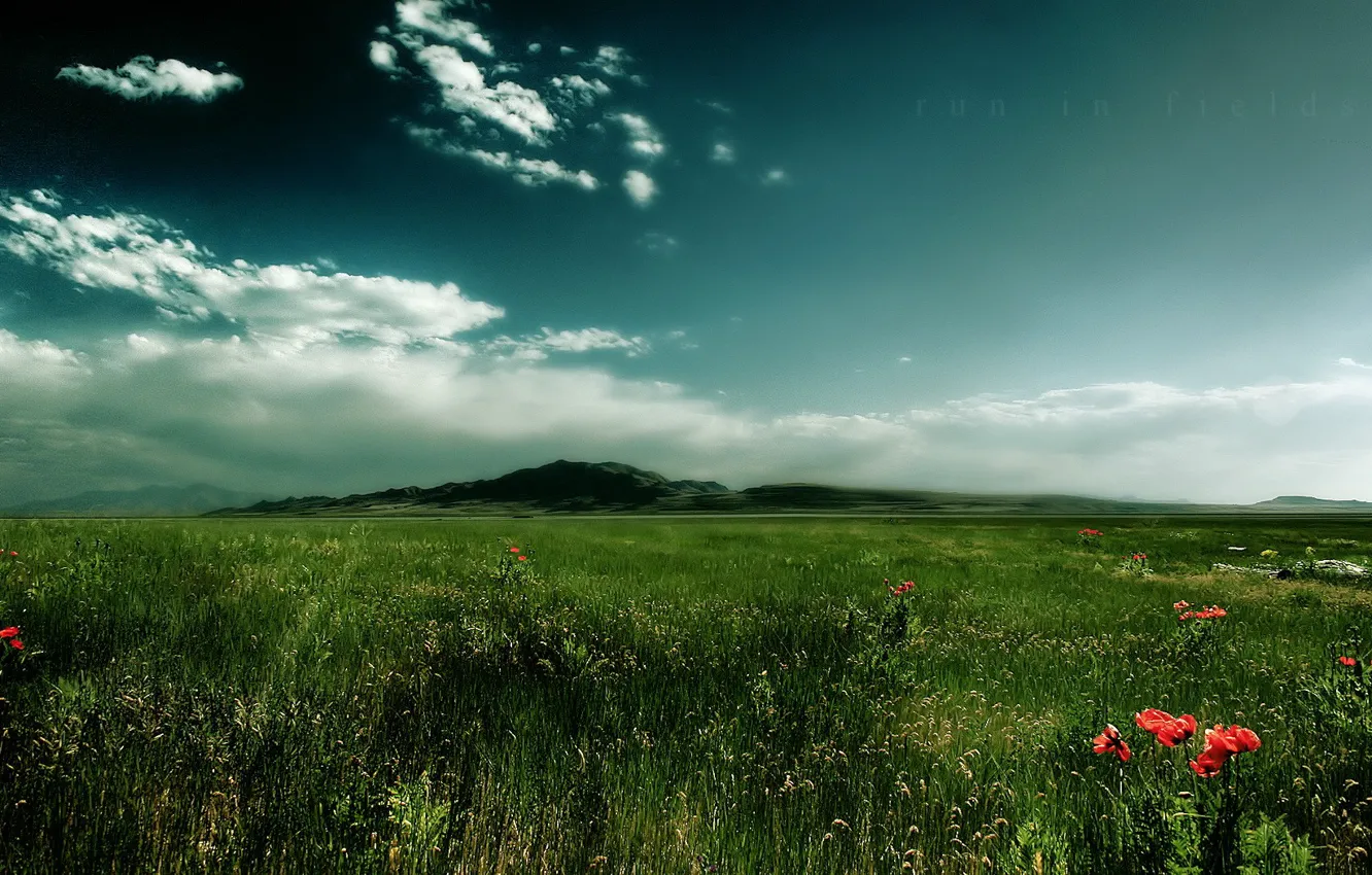 Photo wallpaper grass, clouds, mountain, Field