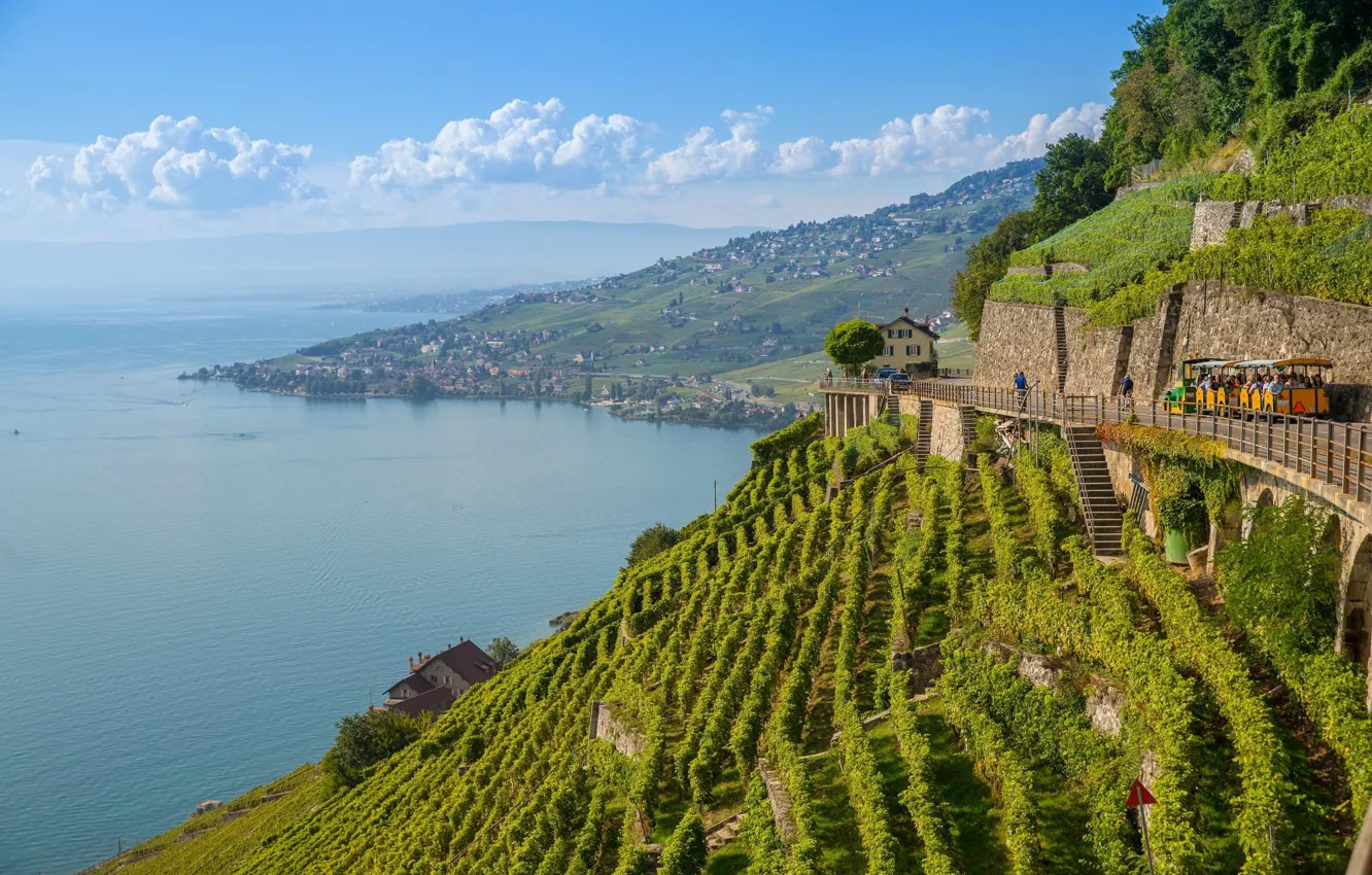 Photo wallpaper lake, Switzerland, Alps, vineyard, Laveau