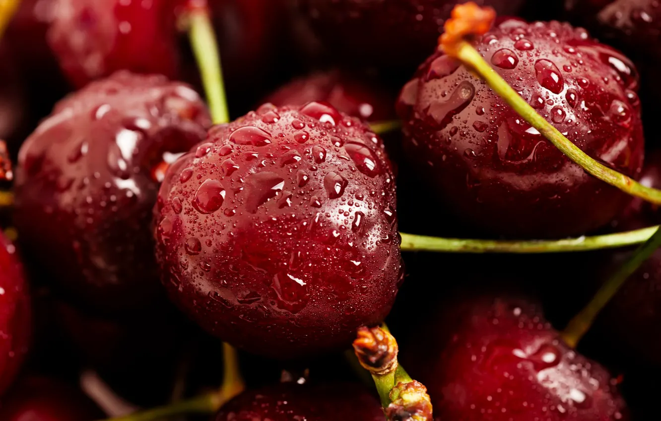 Photo wallpaper drops, macro, cherry, berries, the dark background, cherry, water drops, ripe