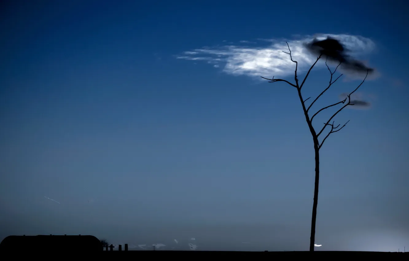 Photo wallpaper the sky, clouds, trees, landscape