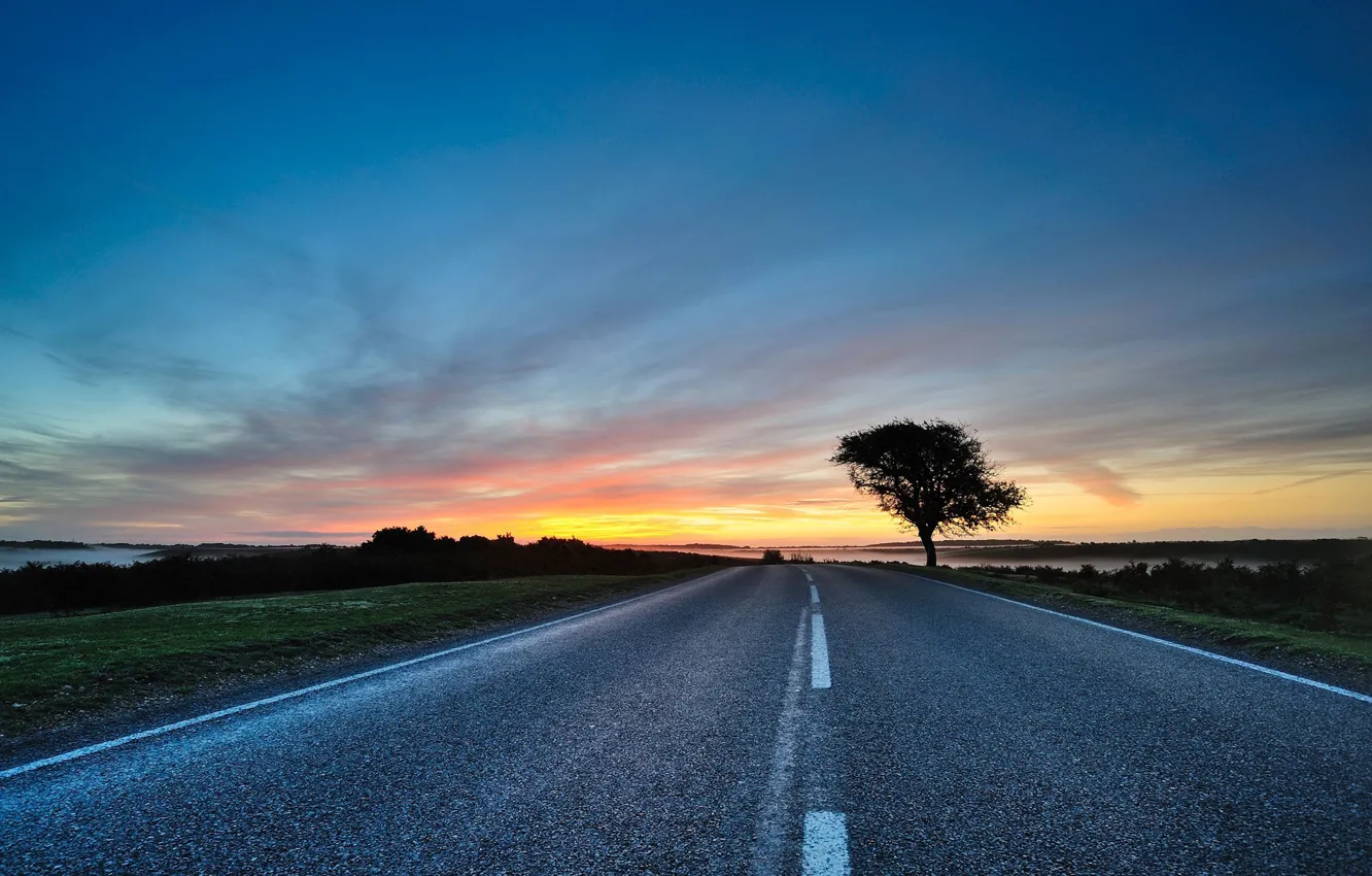 Photo wallpaper road, the sky, trees, the way, the way, tree, road, the evening