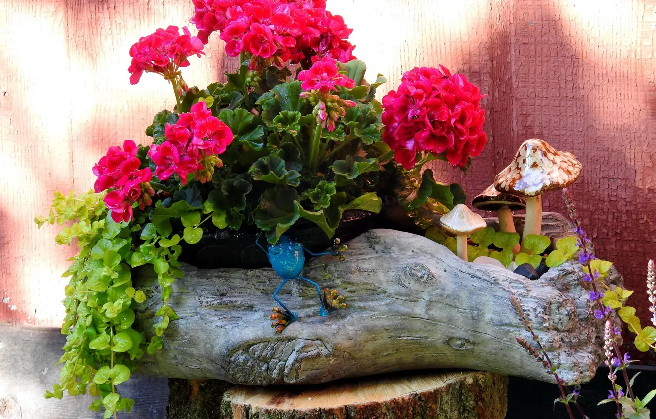 Photo wallpaper flowers, mushrooms, frog, composition, geranium