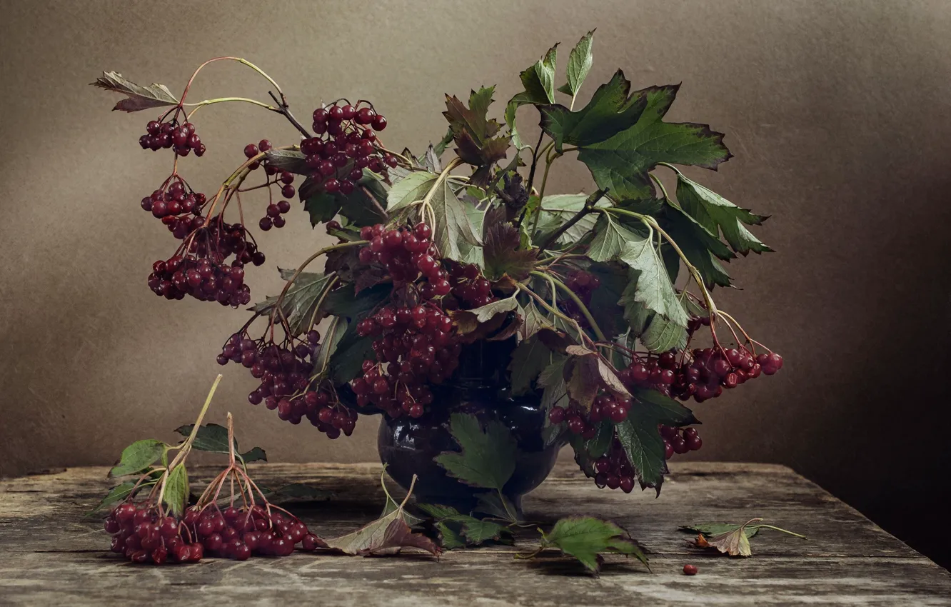 Photo wallpaper berries, bouquet, still life, Kalina