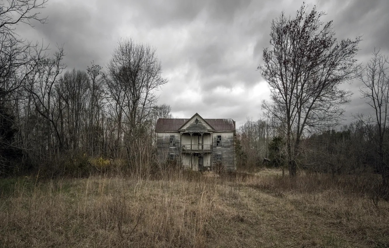 Photo wallpaper field, forest, home