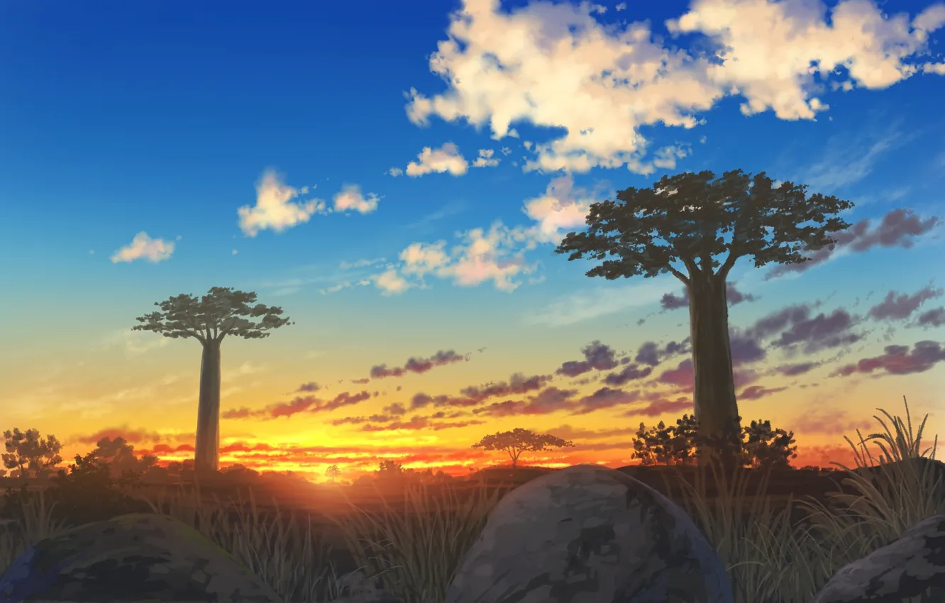 Photo wallpaper landscape, sunset, nature, baobabs