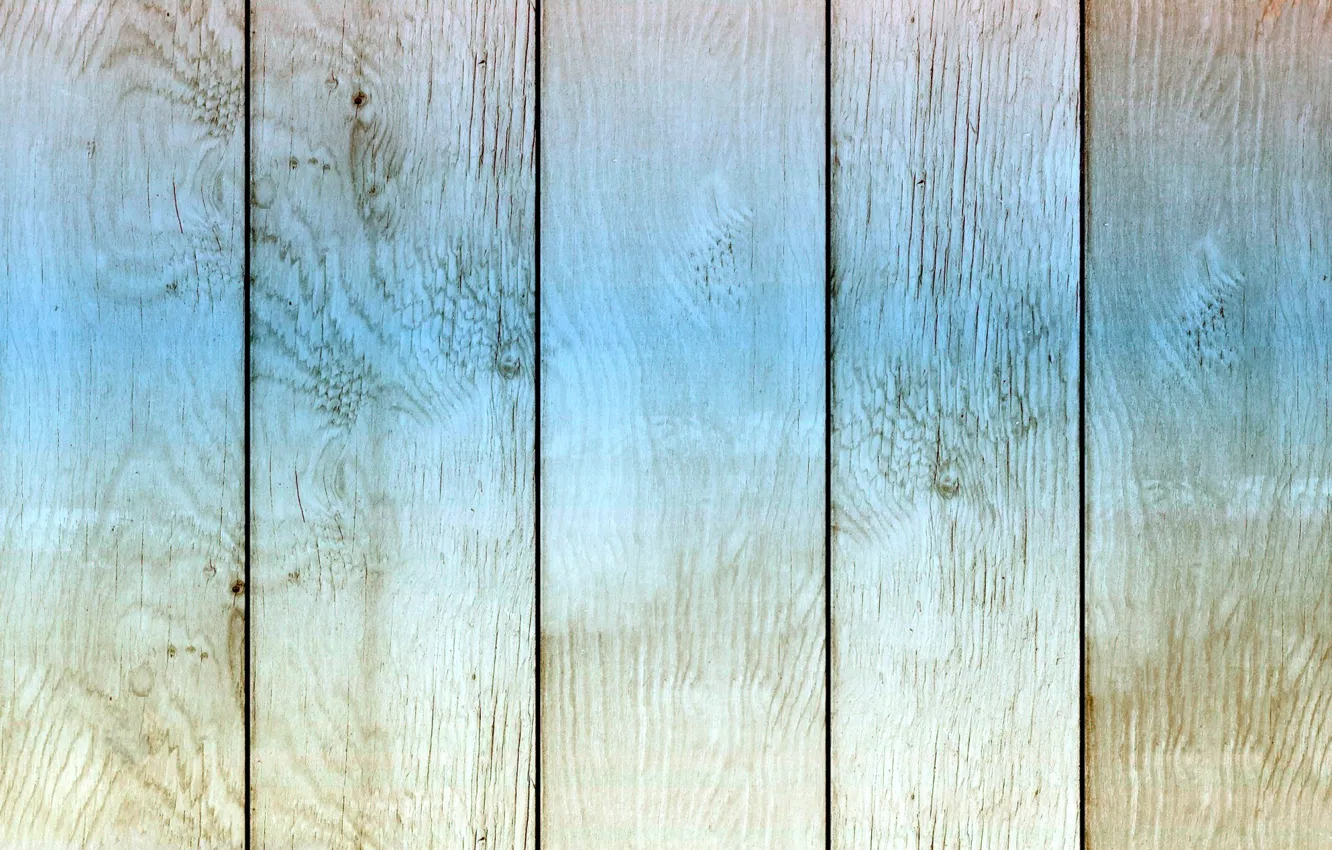 Photo wallpaper color, tree, texture