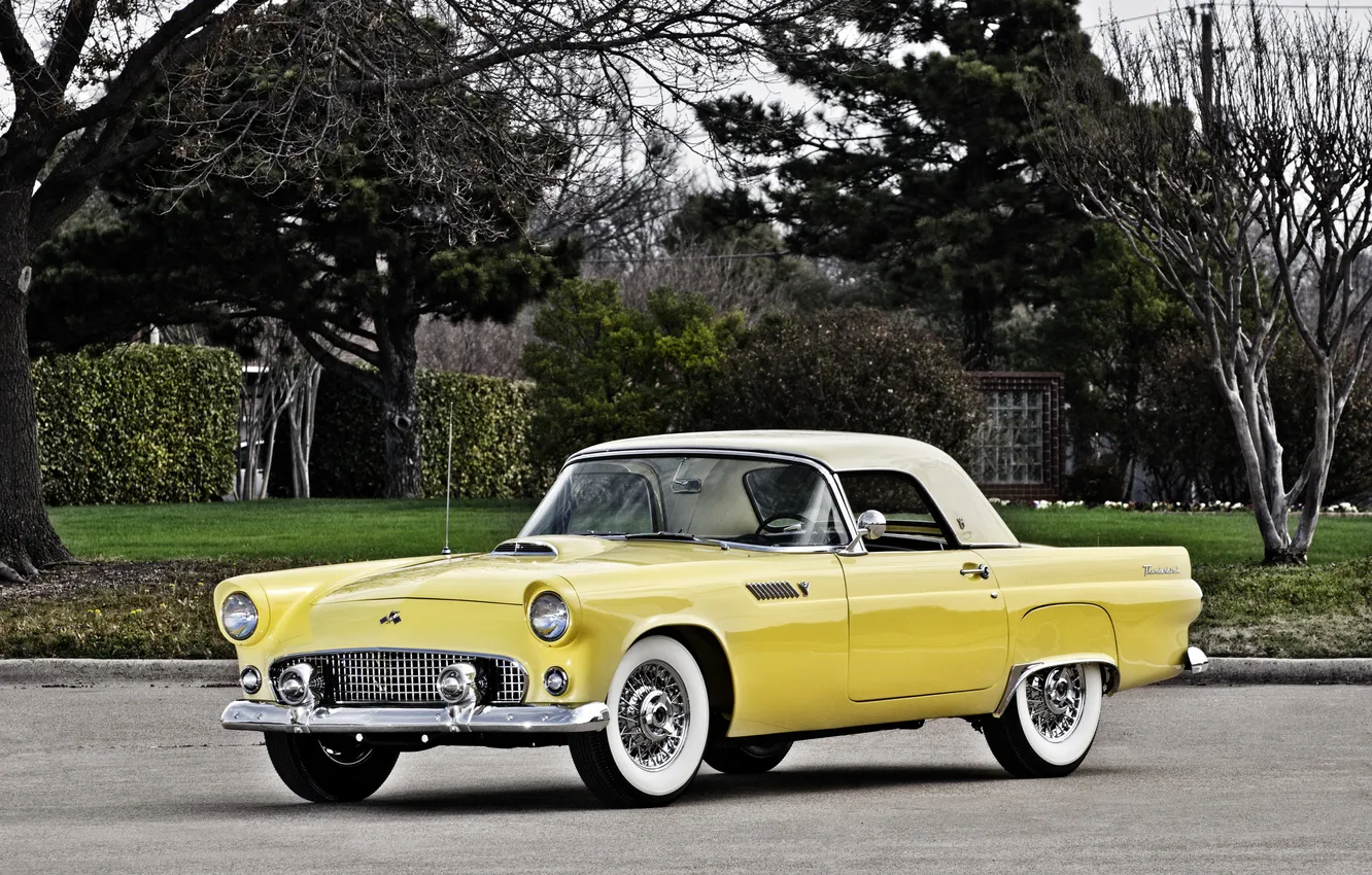 Photo wallpaper Ford, Ford, 1955, Thunderbird, Thunderbird