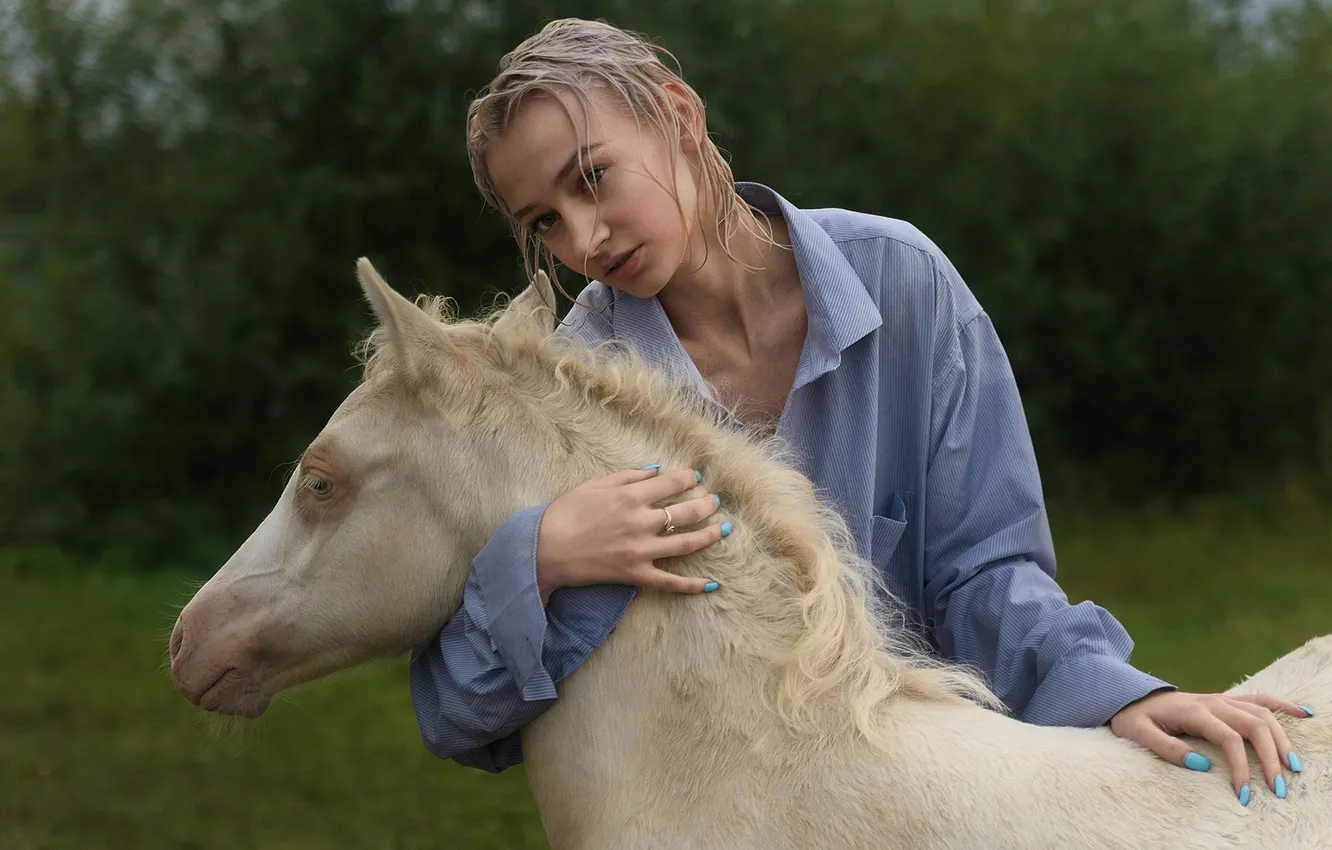 Photo wallpaper horse, blonde, Maxim Mikhailov
