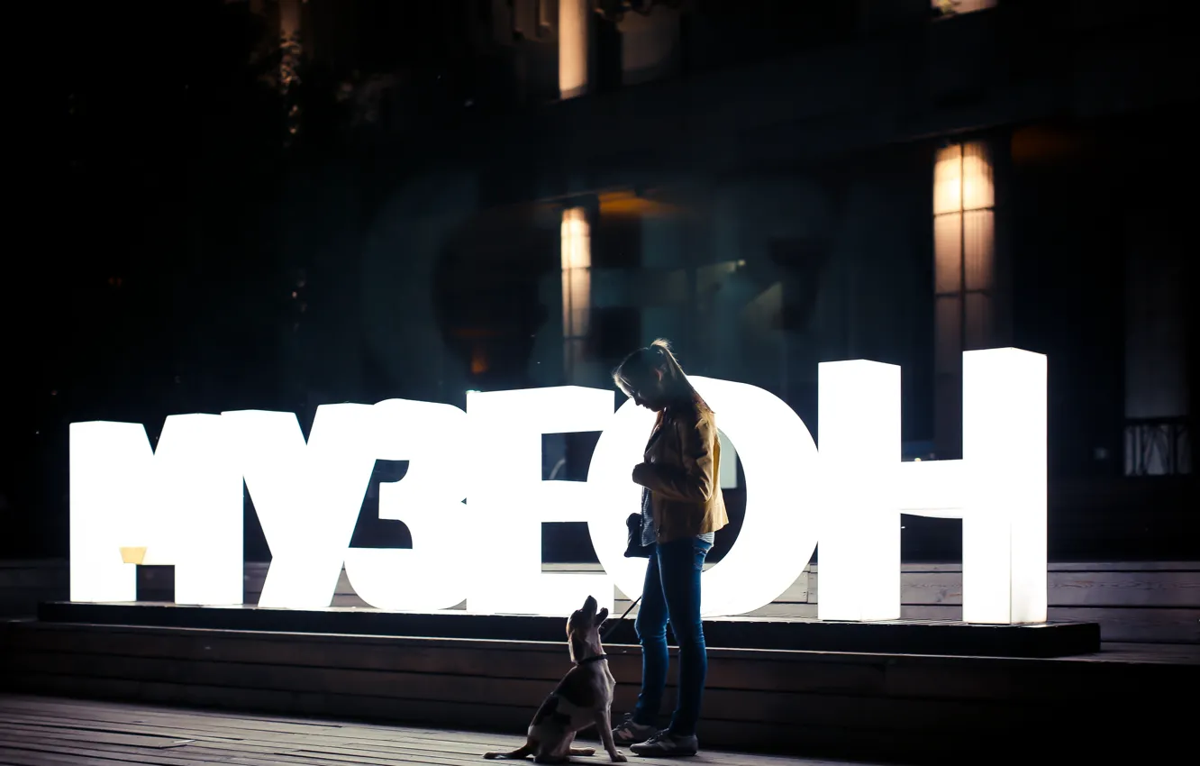 Photo wallpaper girl, night, the city, lights, Park, stay, Moscow, dog