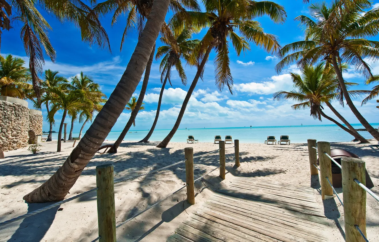 Photo wallpaper relax, pacific ocean, sea, sand, palm trees, plant, palm, rest