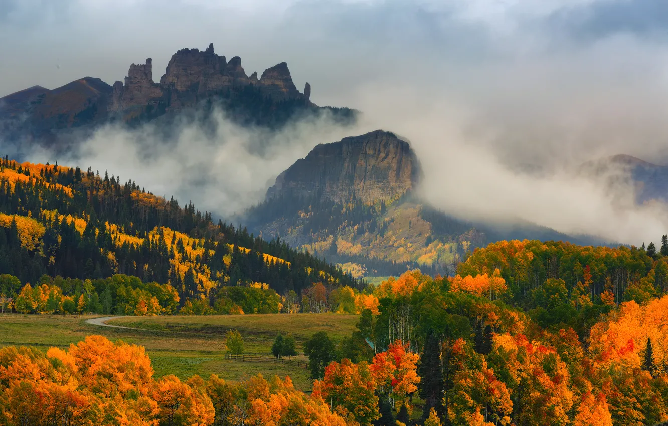 Photo wallpaper autumn, forest, trees, mountains, fog, paint, Colorado, USA