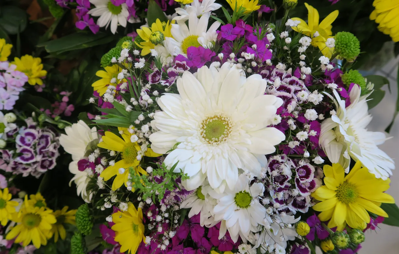Photo wallpaper purple, macro, flowers, yellow, bright, bouquet, white, gerbera