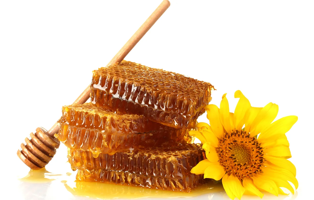 Photo wallpaper flowers, cell, honey, spoon, white background, wooden