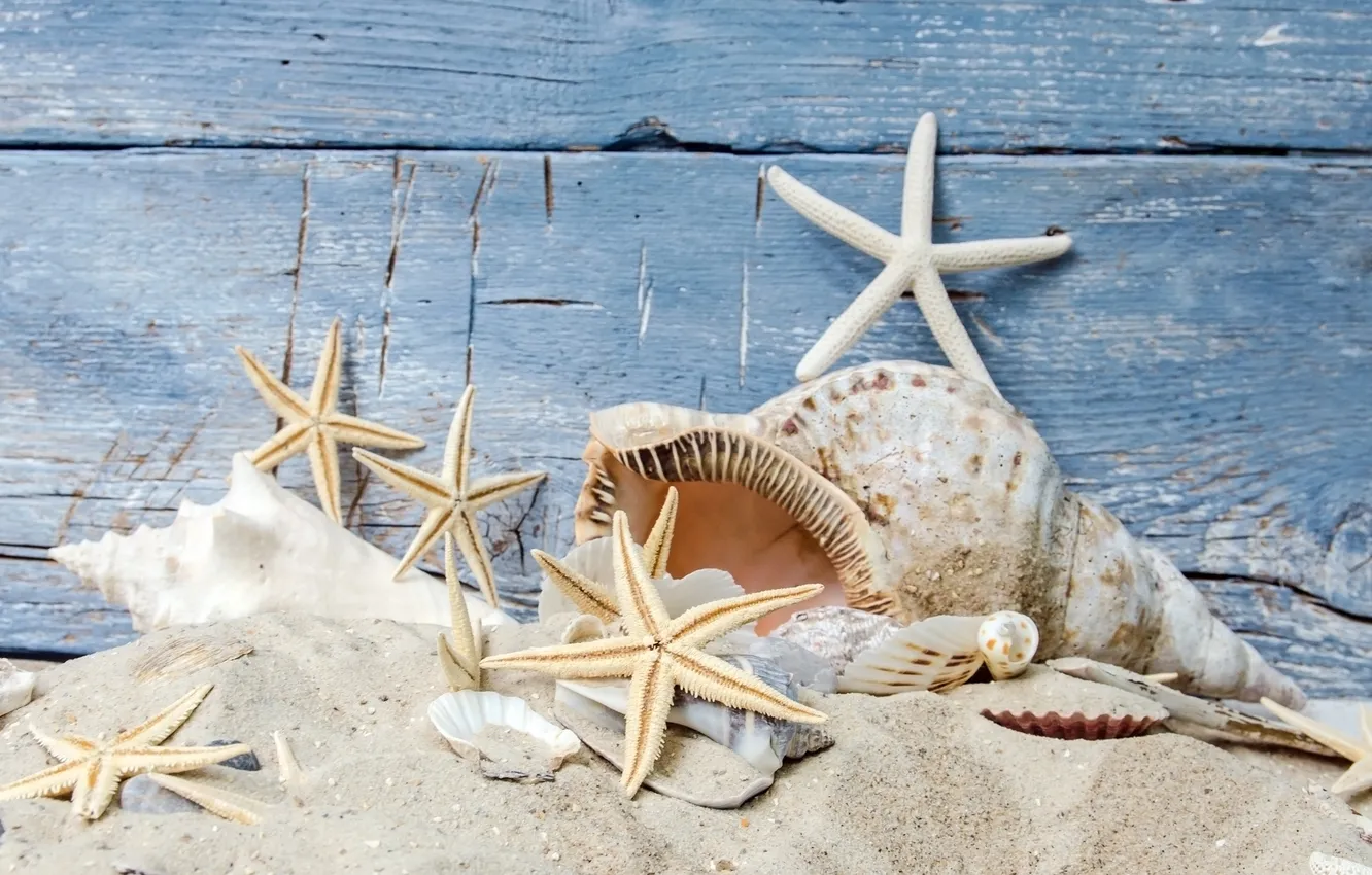 Photo wallpaper sand, beach, stars, shell, beach, wood, sand, seashells