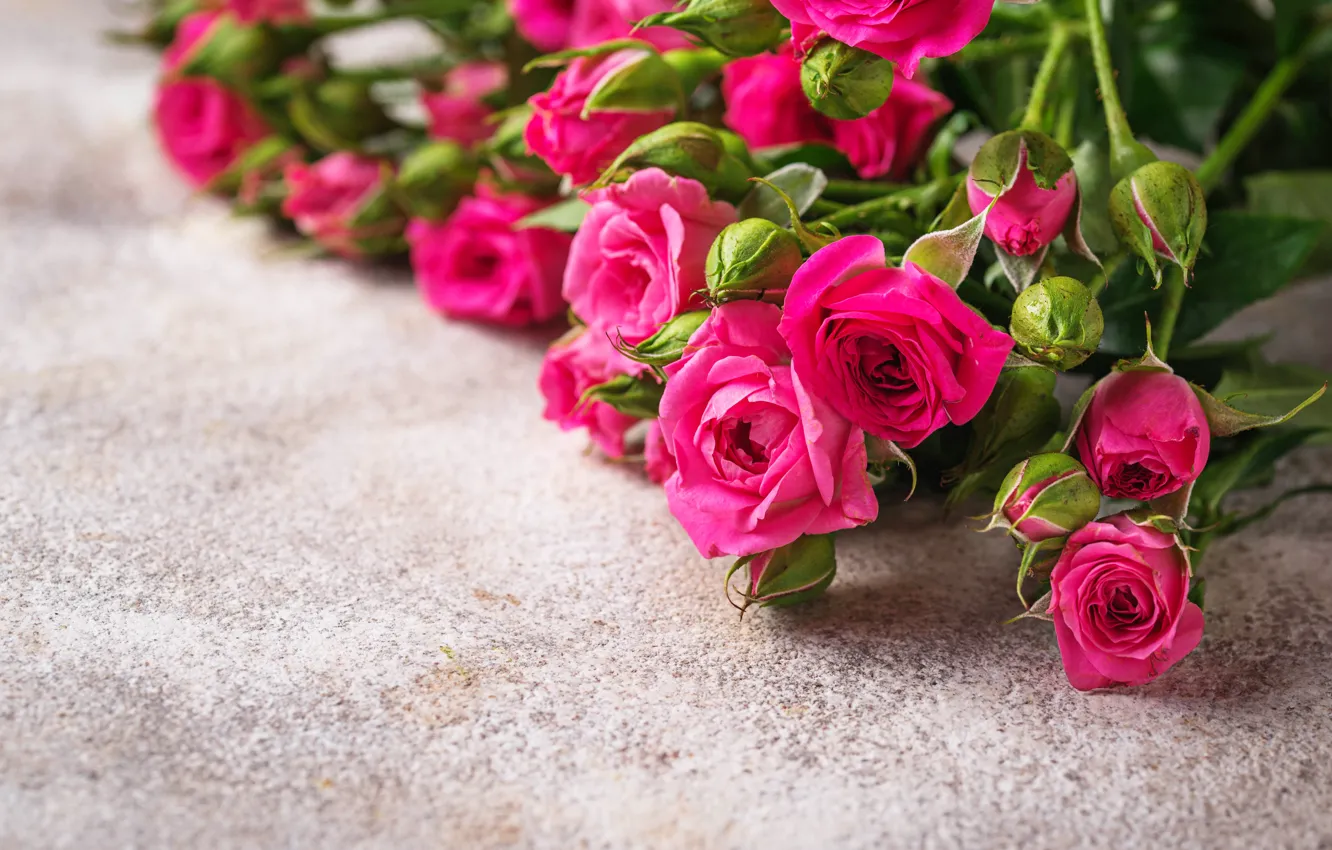 Photo wallpaper roses, bouquet, pink