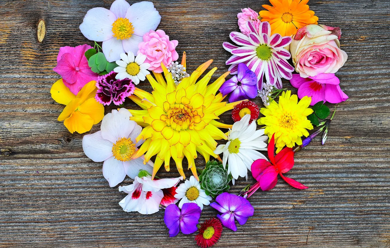 Photo wallpaper flowers, heart, Board