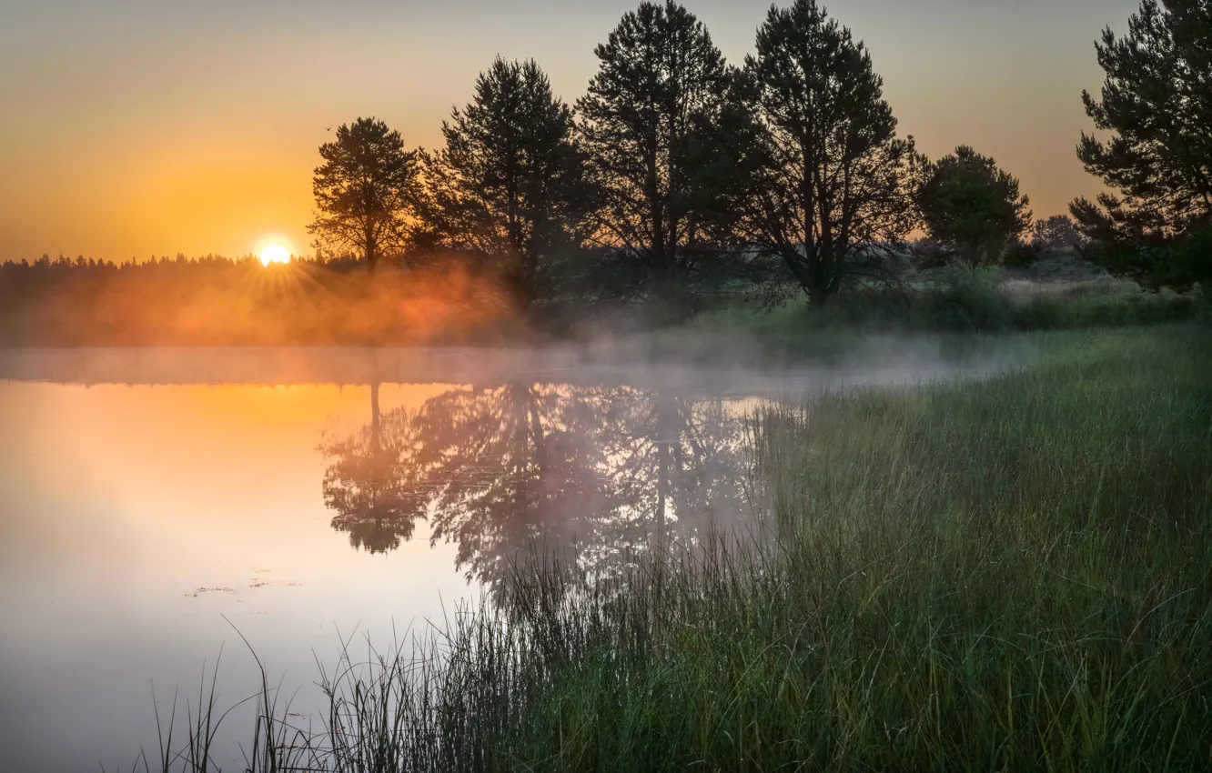 Photo wallpaper forest, sunset, lake, dawn, shore, pond