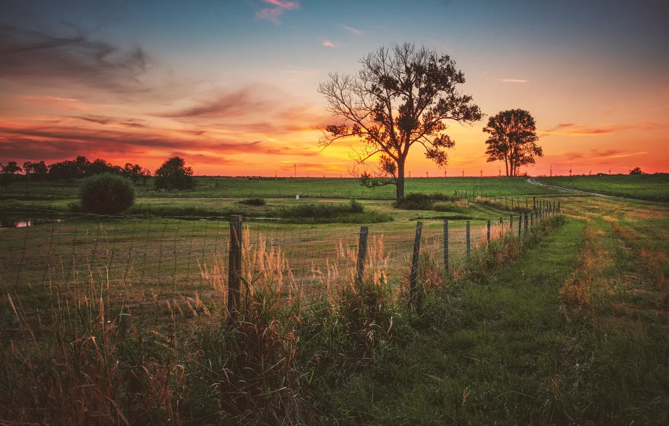 Photo wallpaper field, nature, morning, the fence