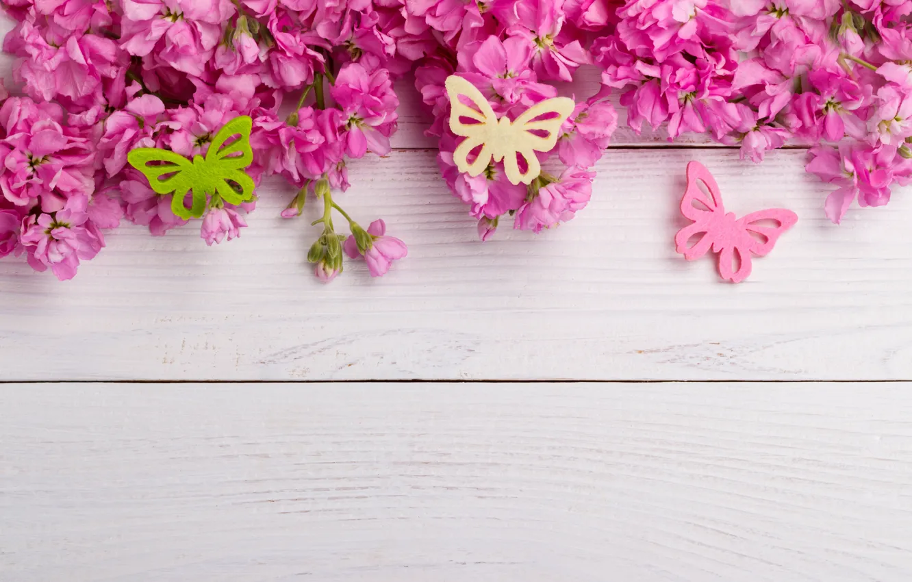 Photo wallpaper flowers, butterfly, pink, wood, pink, flowers, spring, butterflies