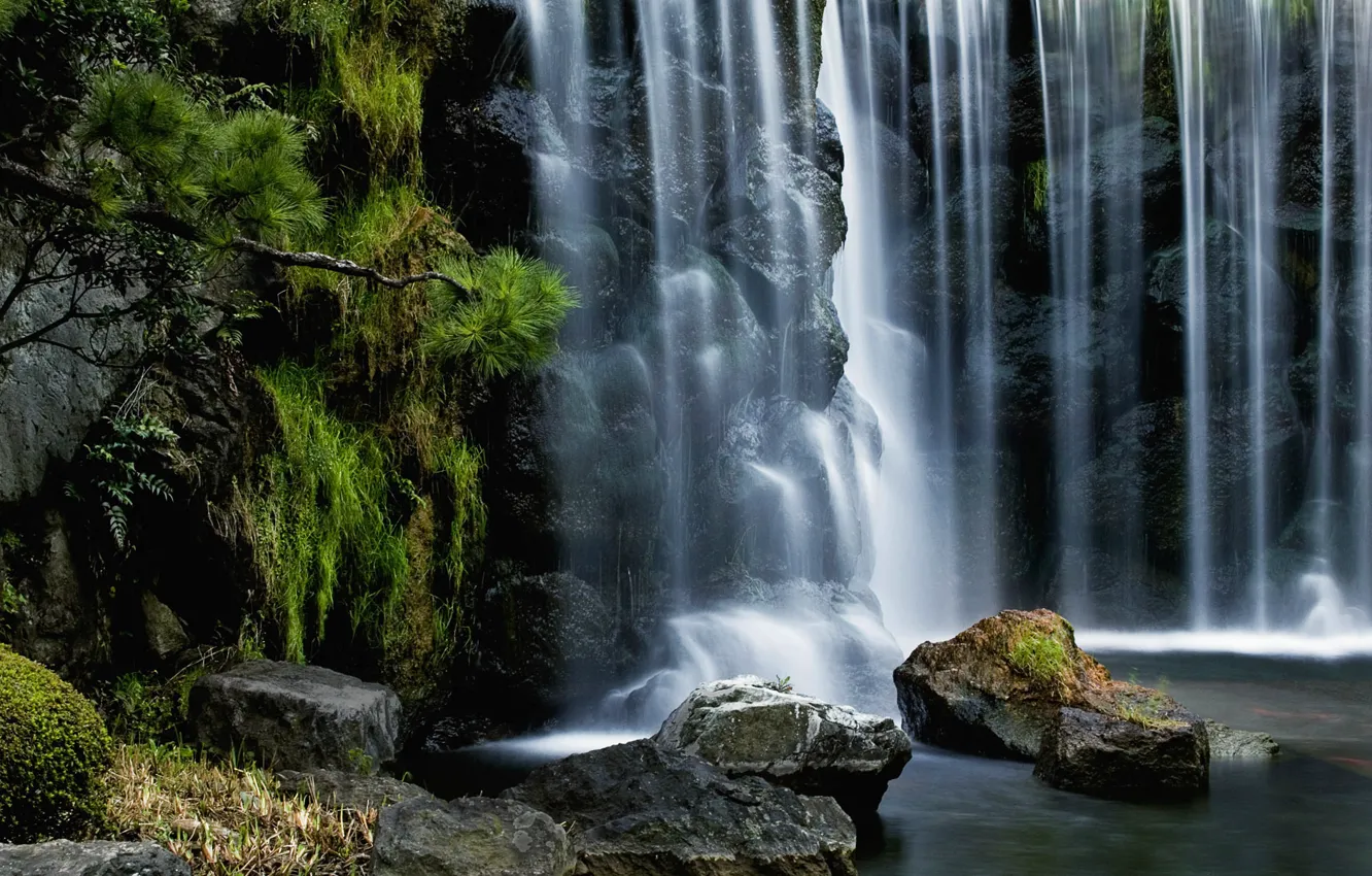 Photo wallpaper stones, waterfall, stream, needles
