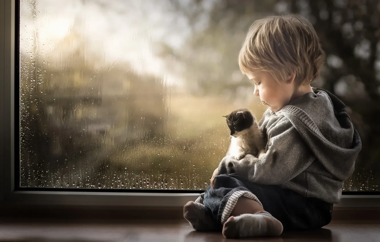 Photo wallpaper cat, boy, window