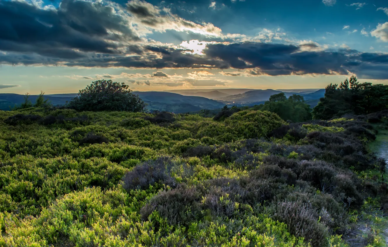 Photo wallpaper field, clouds, hills, the bushes