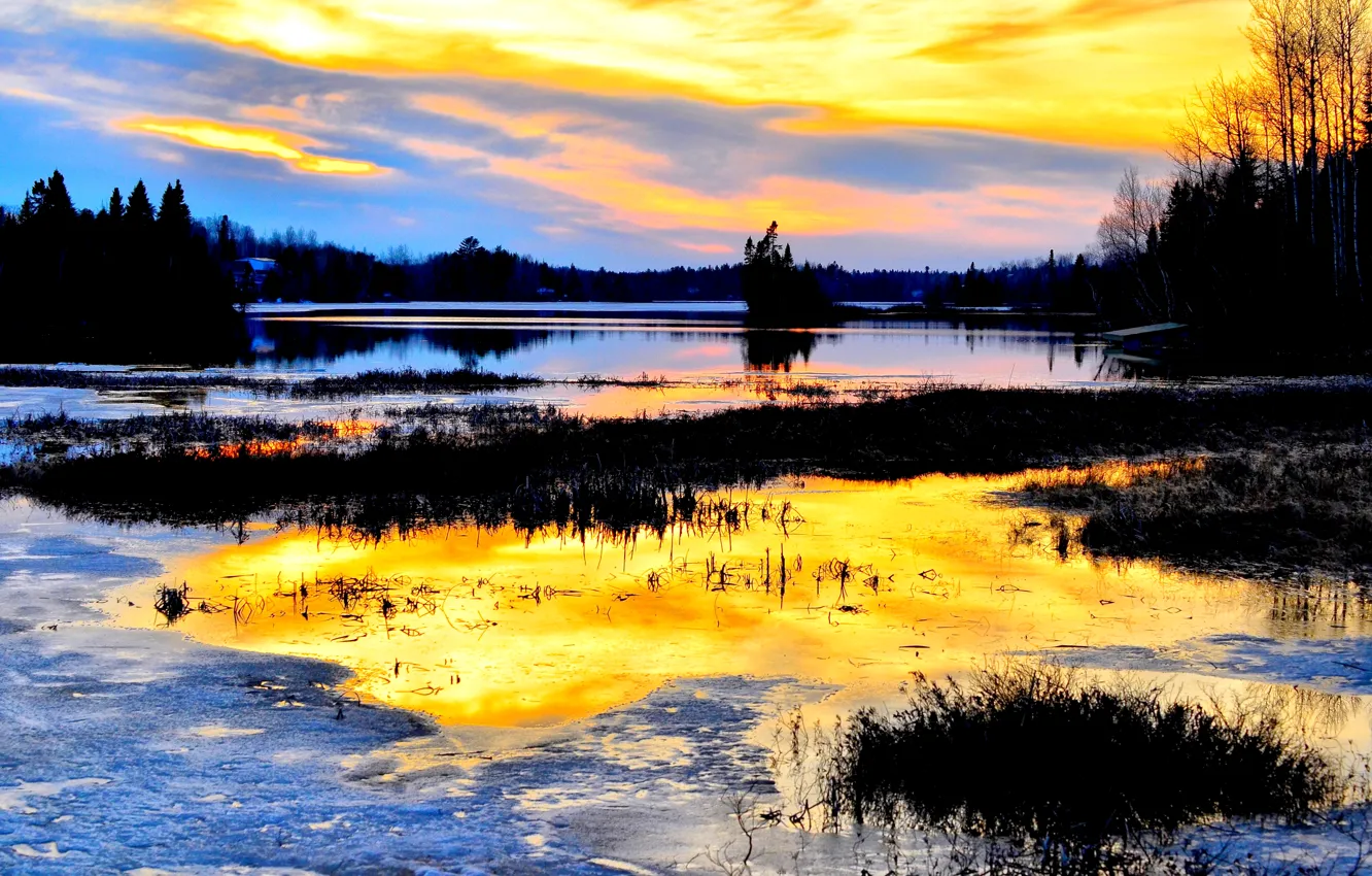 Photo wallpaper Canada, nature, sunset, wood, water, lake, dawn, blue sky