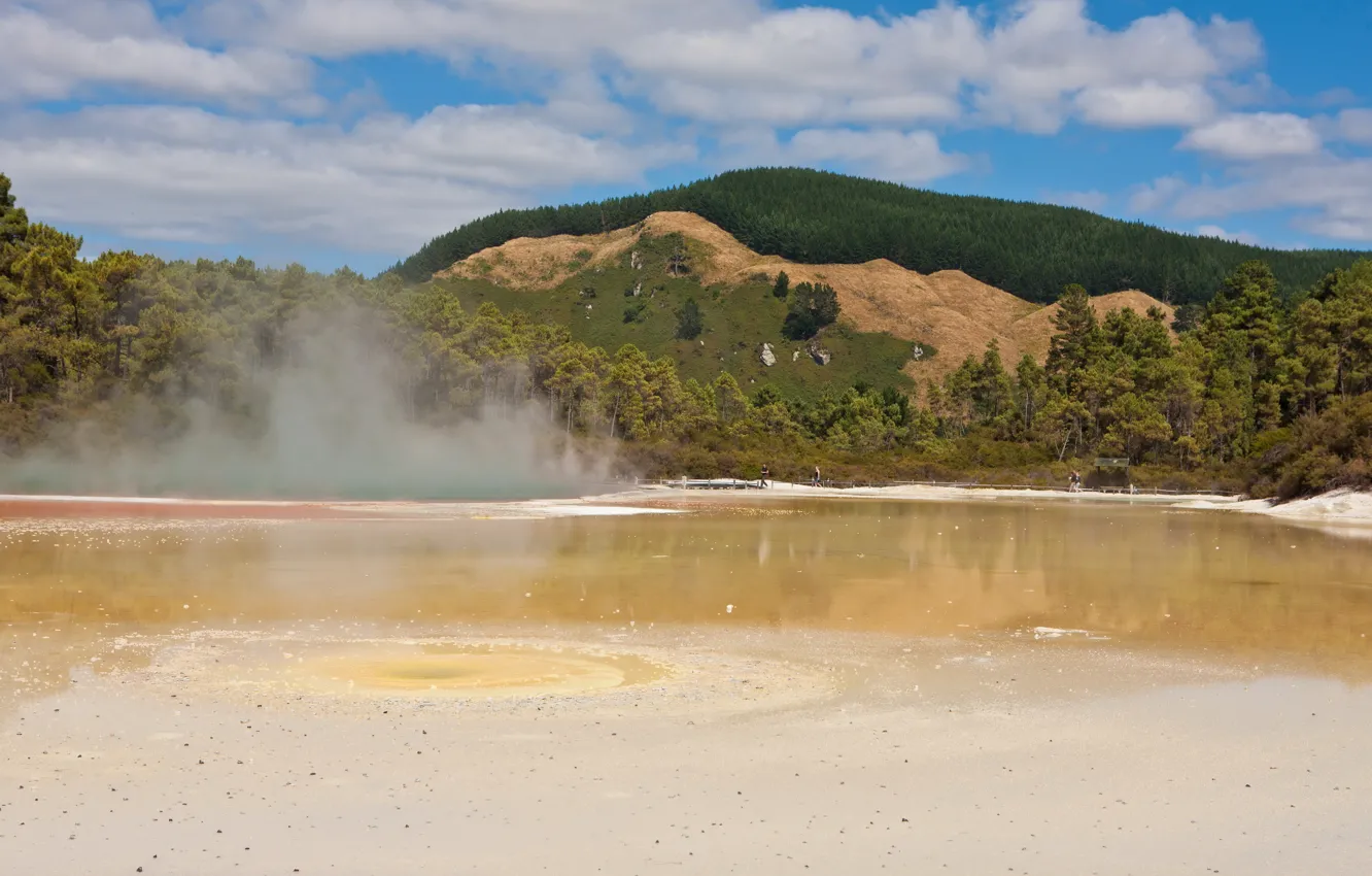 Photo wallpaper landscape, nature, lake, new, Zealand, Rotorua
