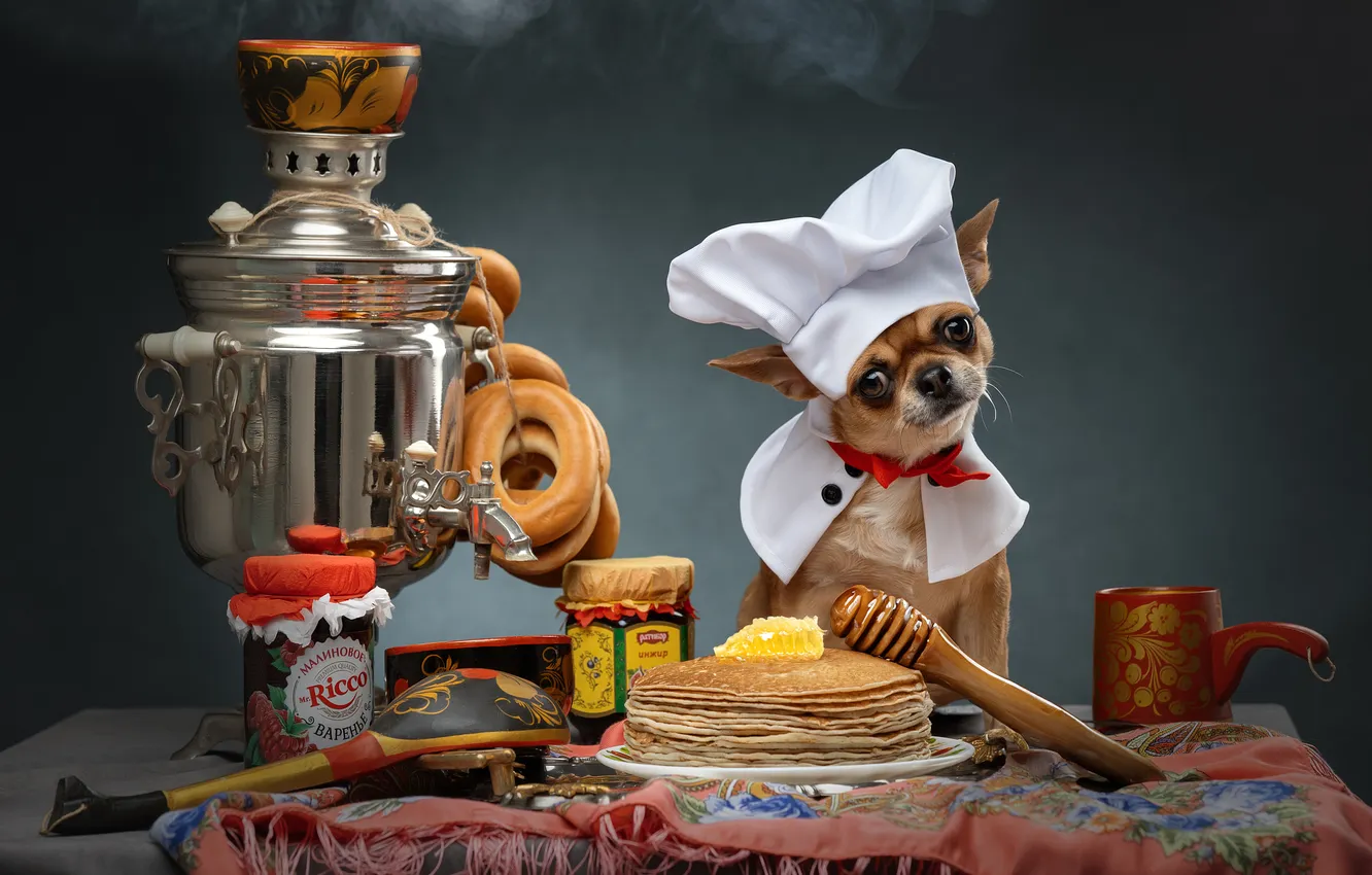 Photo wallpaper dog, bagels, samovar, pancakes, Chihuahua, bagels, jam, scullion