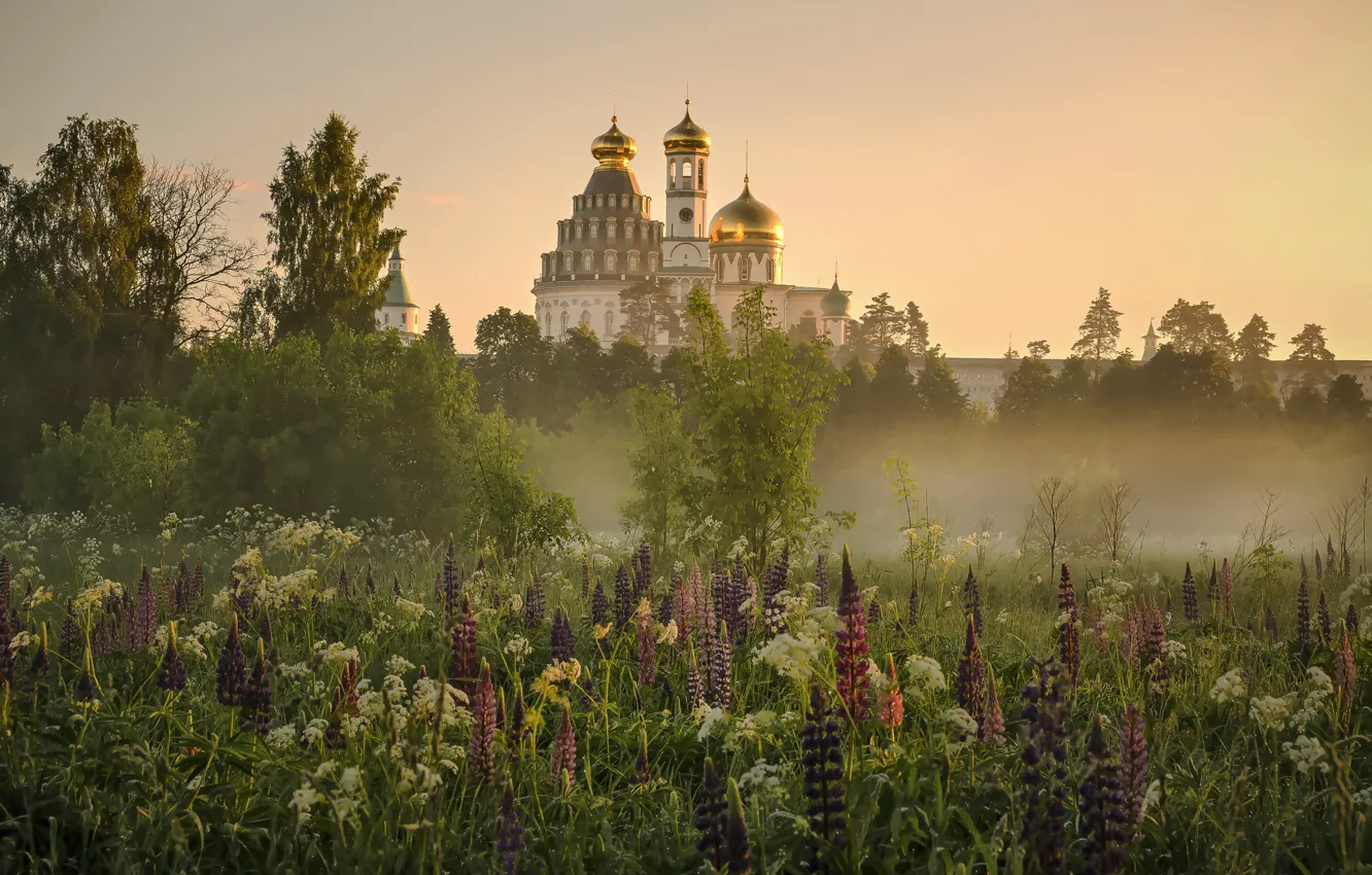 Photo wallpaper flowers, fog, Church, temple, lupins