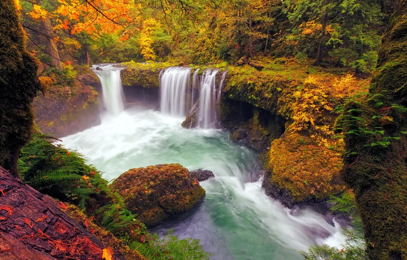 Photo wallpaper autumn, forest, lake, waterfall