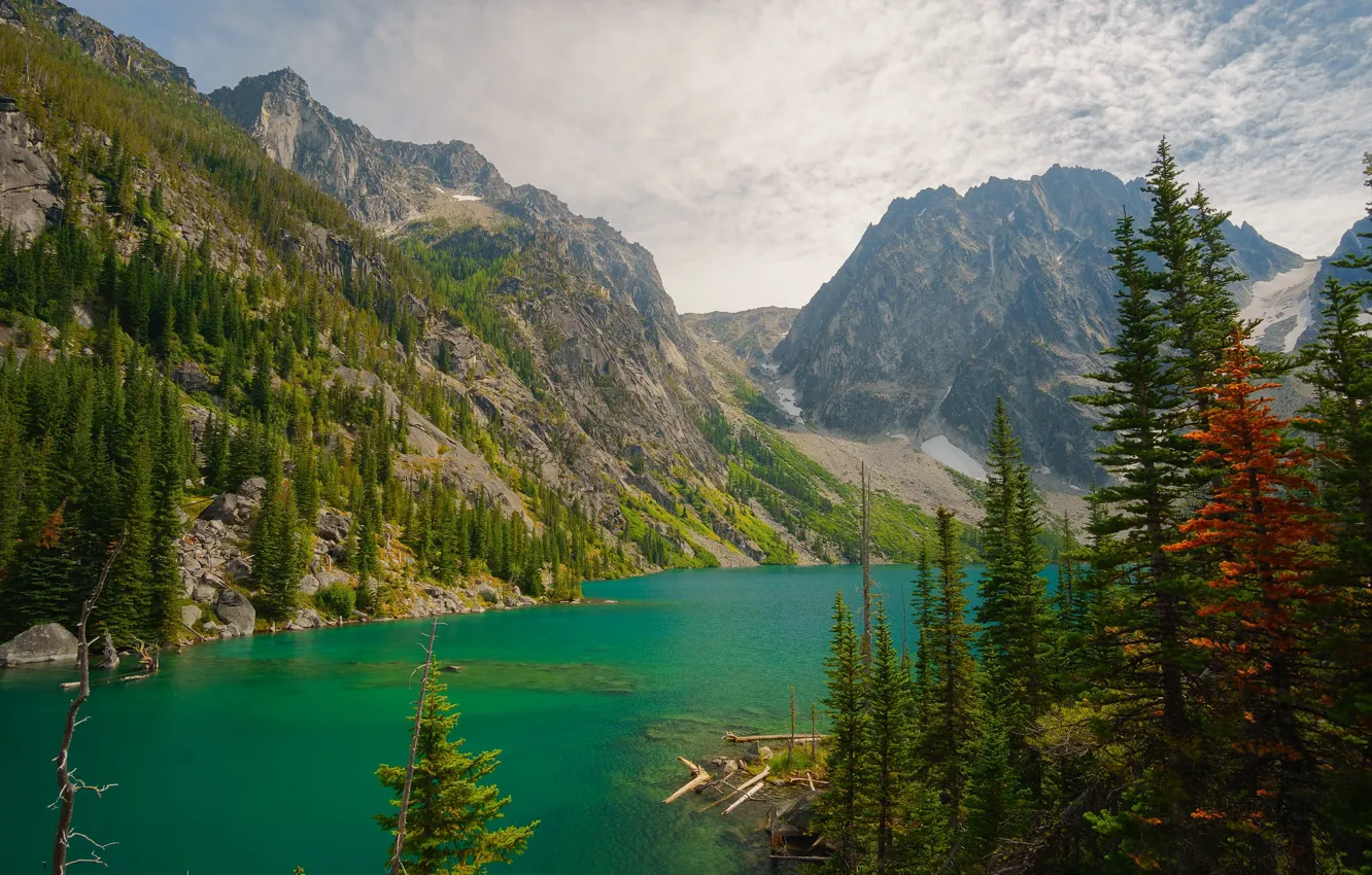 Photo wallpaper forest, mountains, Alps