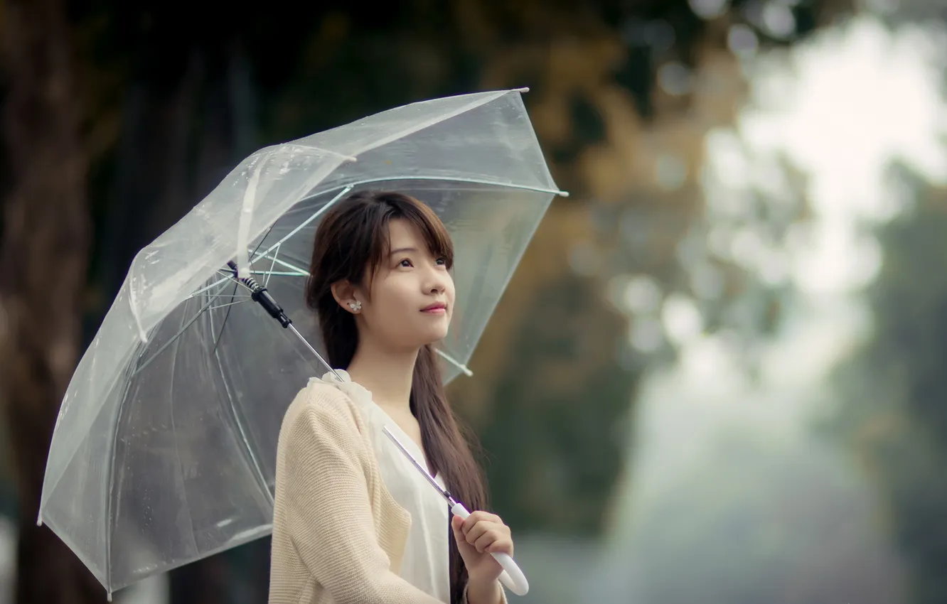 Photo wallpaper girl, umbrella, Asian