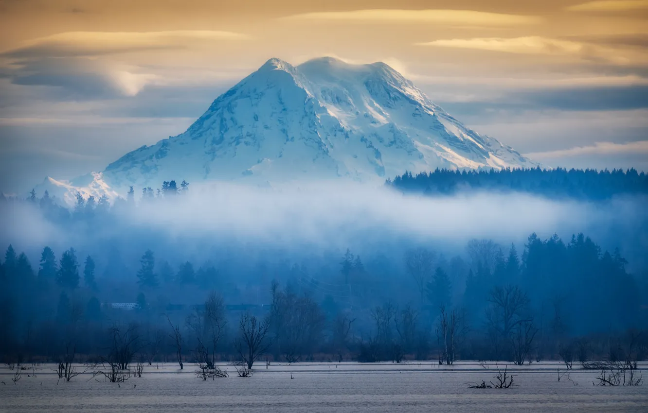 Photo wallpaper forest, clouds, snow, mountains, fog