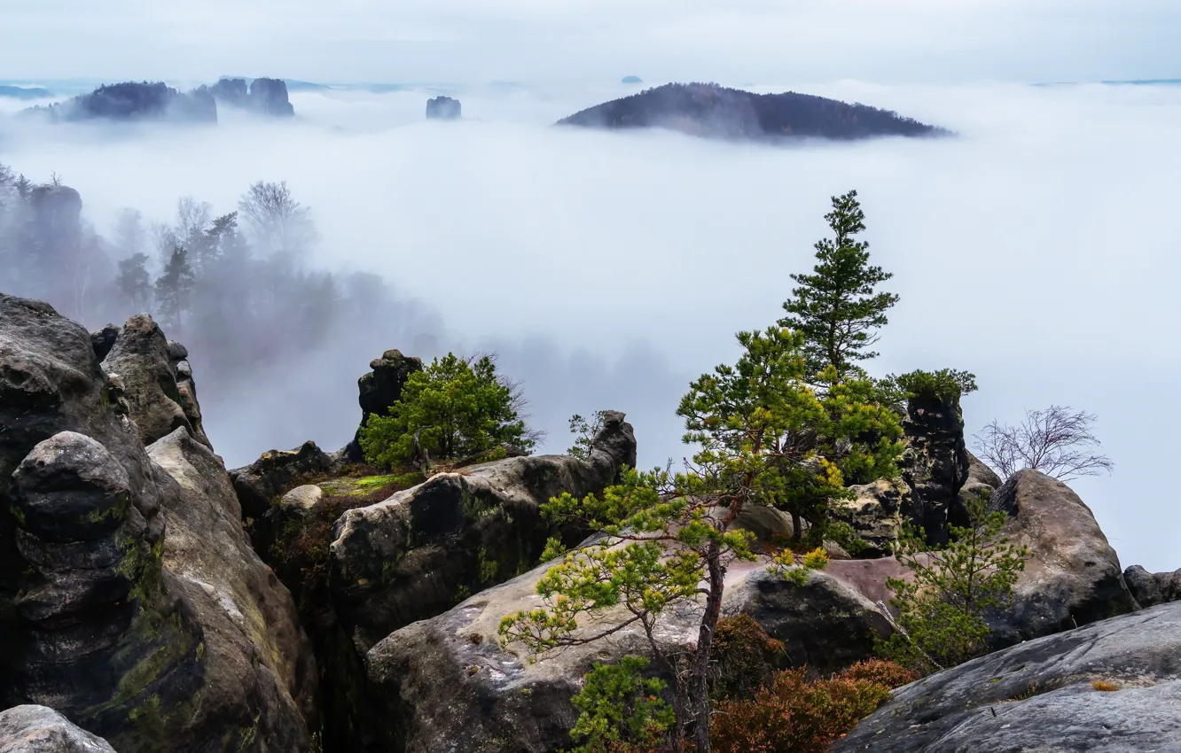 Photo wallpaper mountains, nature, fog