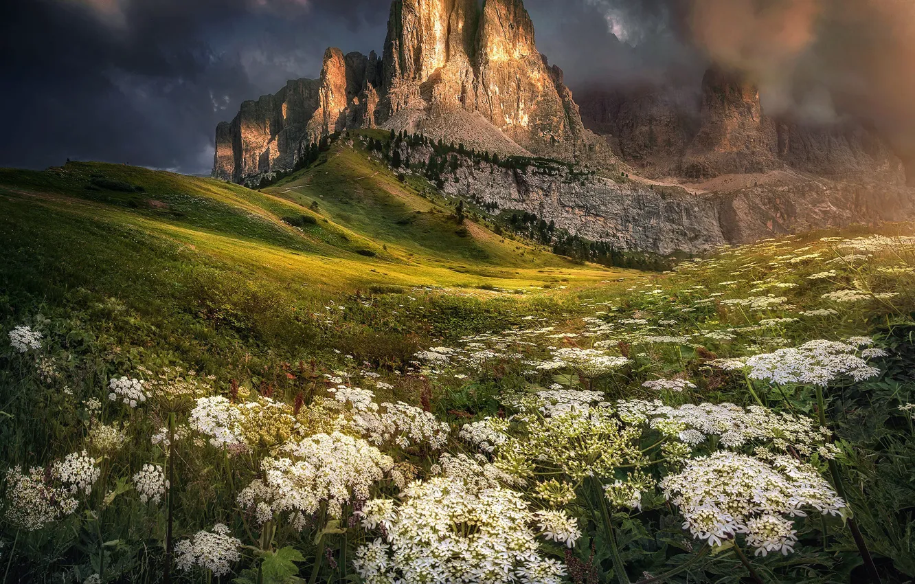 Photo wallpaper landscape, mountains, clouds, nature, vegetation, Italy, The Dolomites