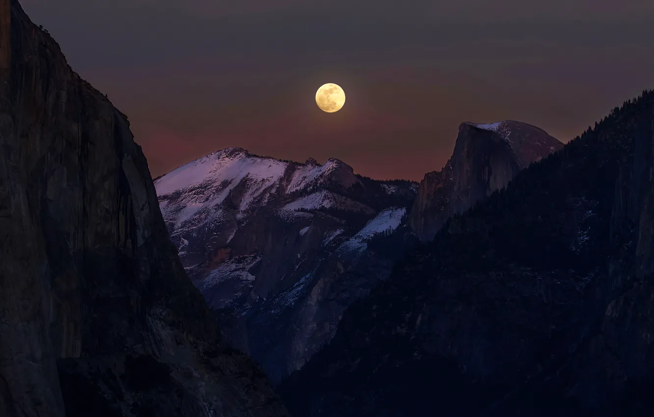 Photo wallpaper forest, snow, mountains, night, darkness, rocks, the moon, tops