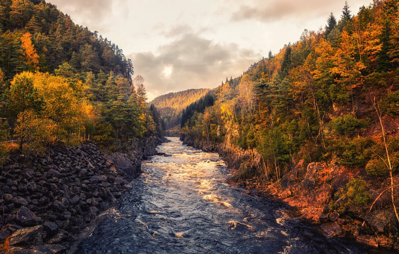 Photo wallpaper autumn, forest, river