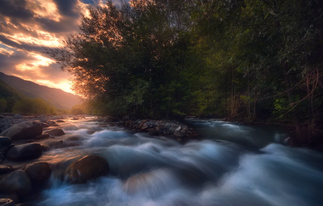 Photo wallpaper forest, trees, mountains, river, stones, dawn, shore, for