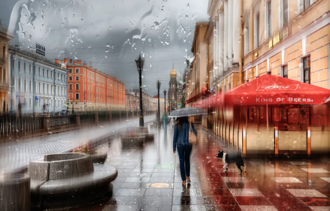 Photo wallpaper girl, drops, rain, umbrella, Saint Petersburg, Russia
