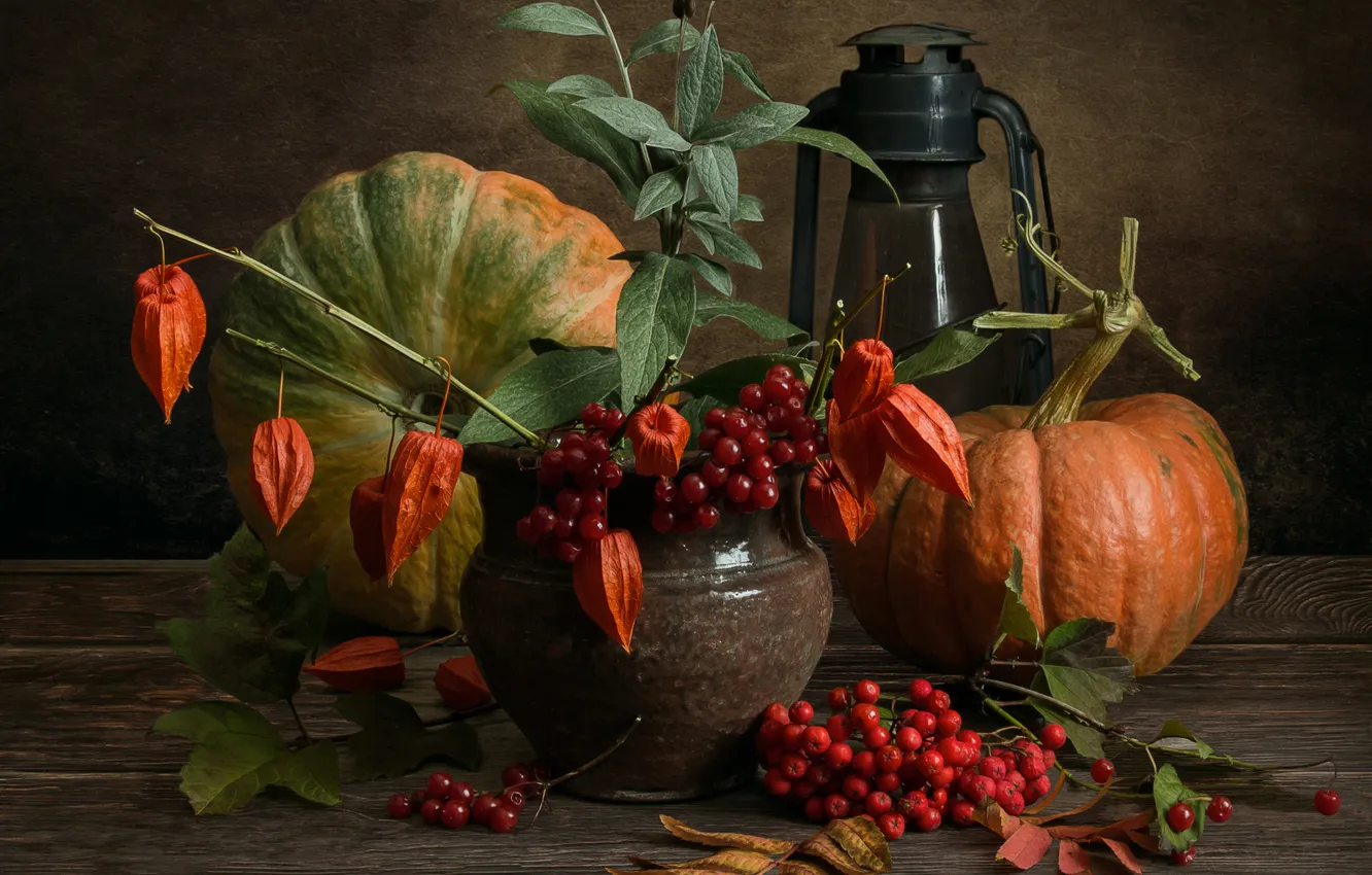 Photo wallpaper still life, setting, physalis, Vera Lopatina