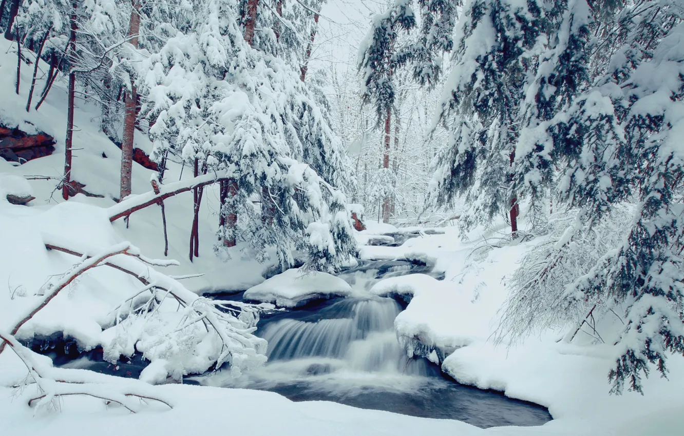 Photo wallpaper winter, forest, snow, trees, stream, the snow, river