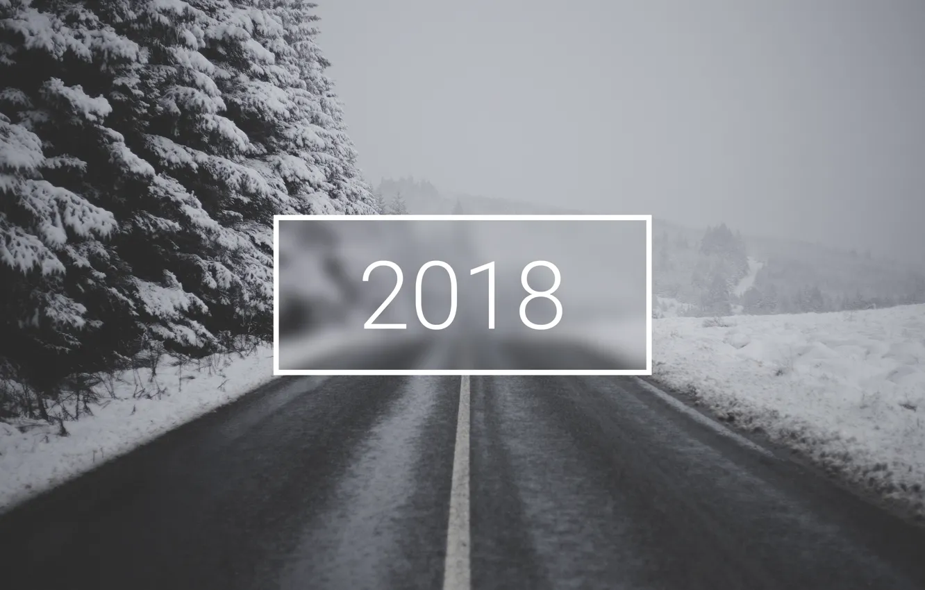 Photo wallpaper wallpaper, white, christmas, new year, road, trees, winter, snow